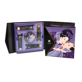 Набор Shunga Geisha's Secret